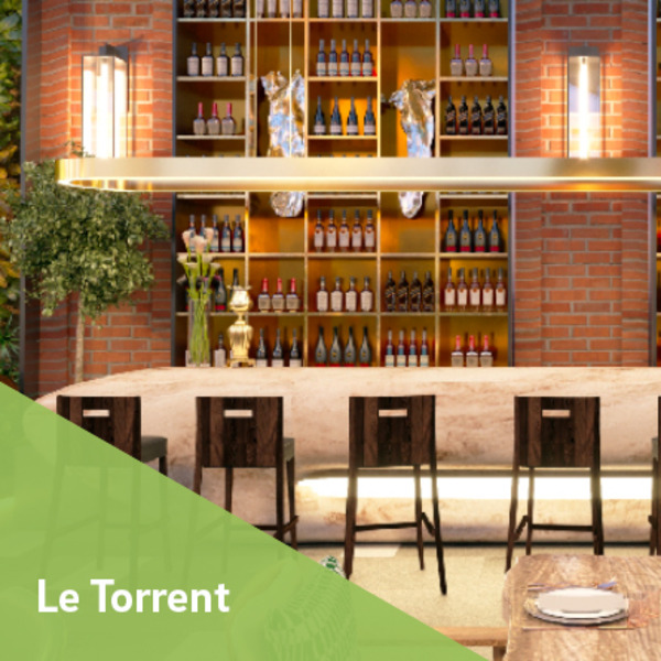 Le torrent