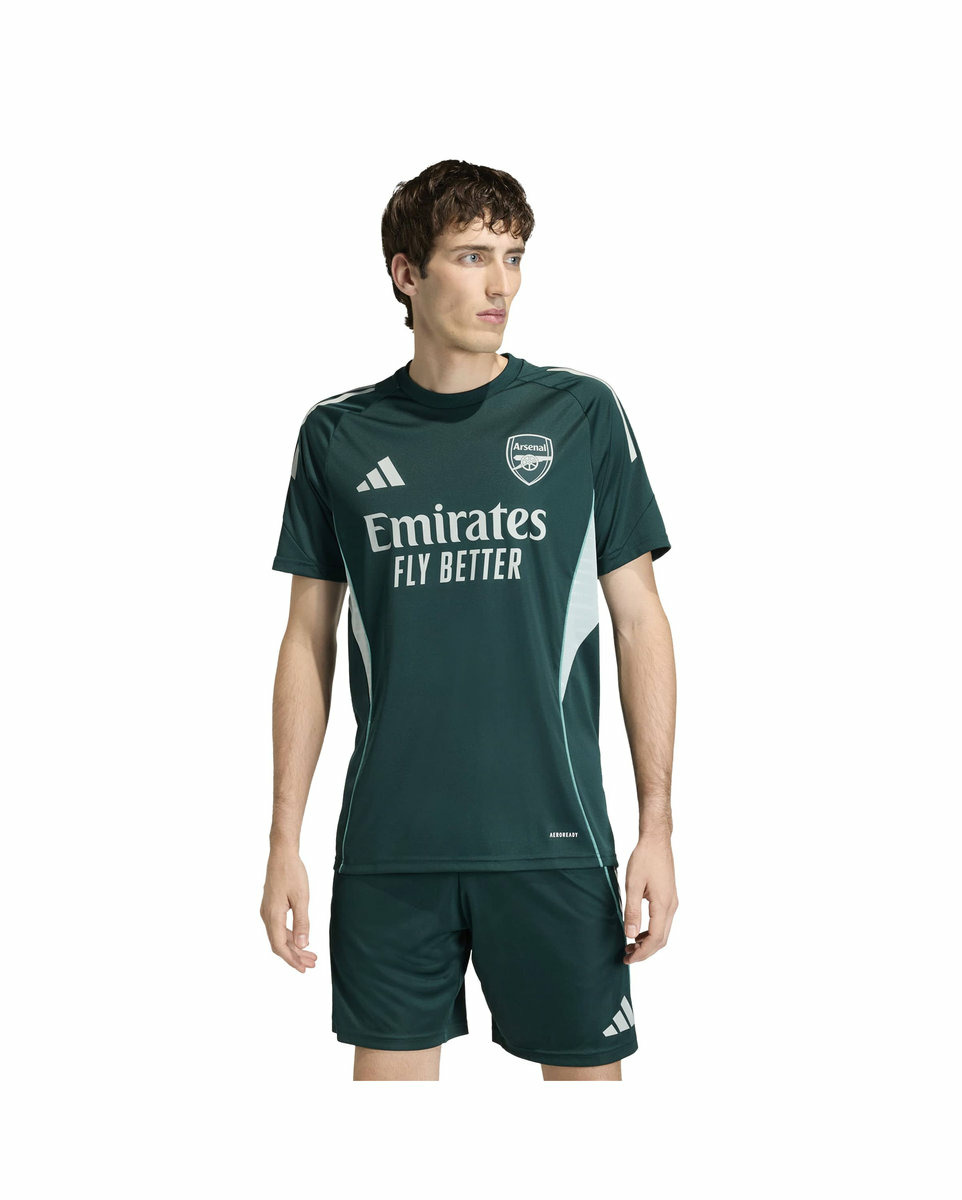 Maillot de football Homme AFC TR JSY Vert
