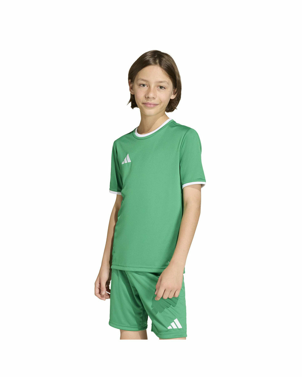 T-shirt Enfant plus agé ENT26 JSY Y Vert