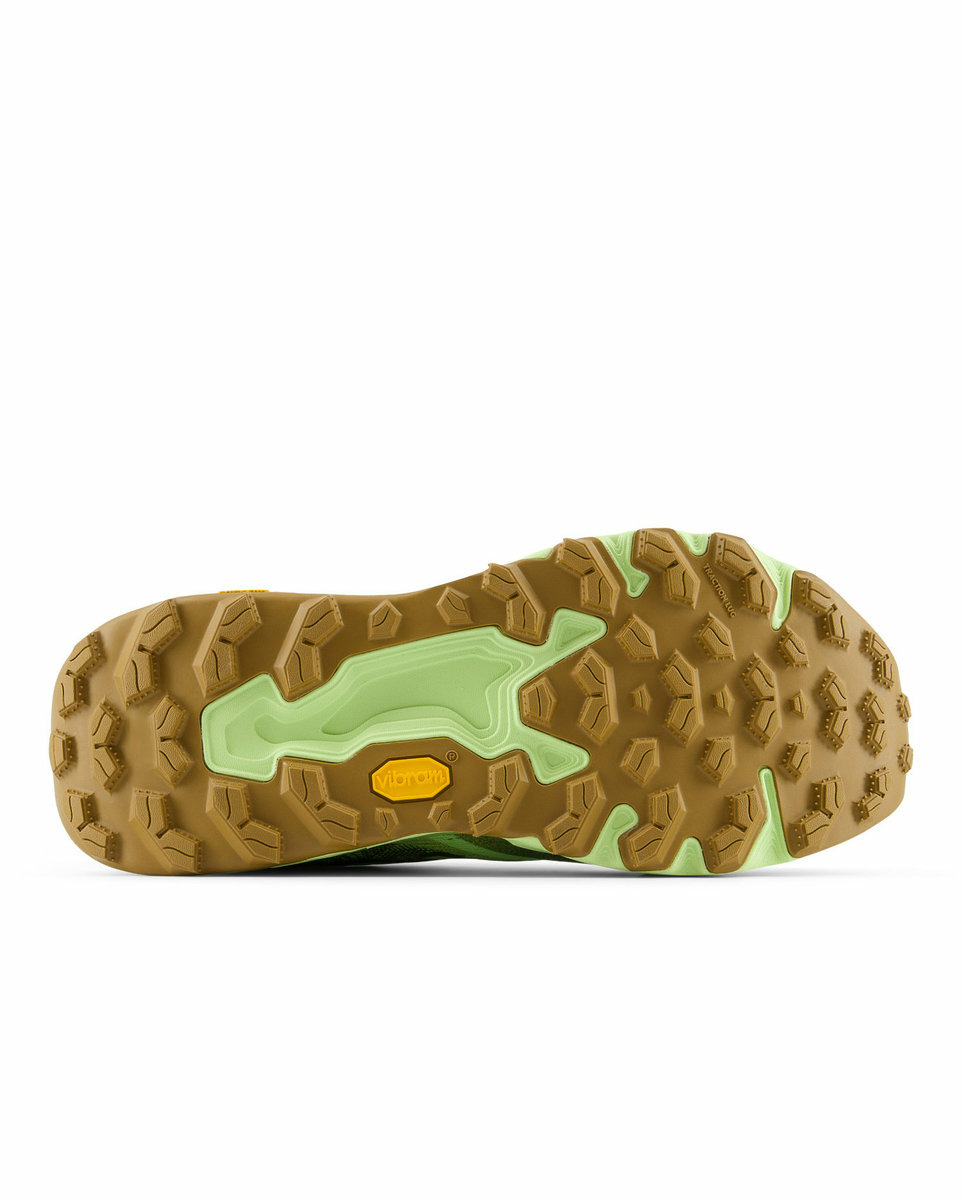 Chaussures de trail Homme FRESH FOAM X HIER Vert