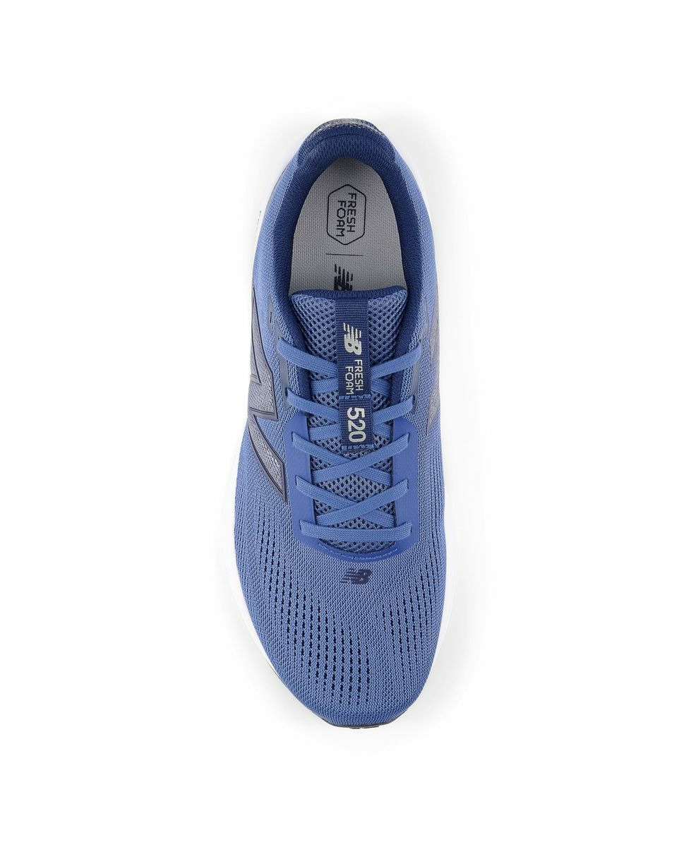 Chaussures de running Homme FRESH FOAM 520 V9 D Bleu