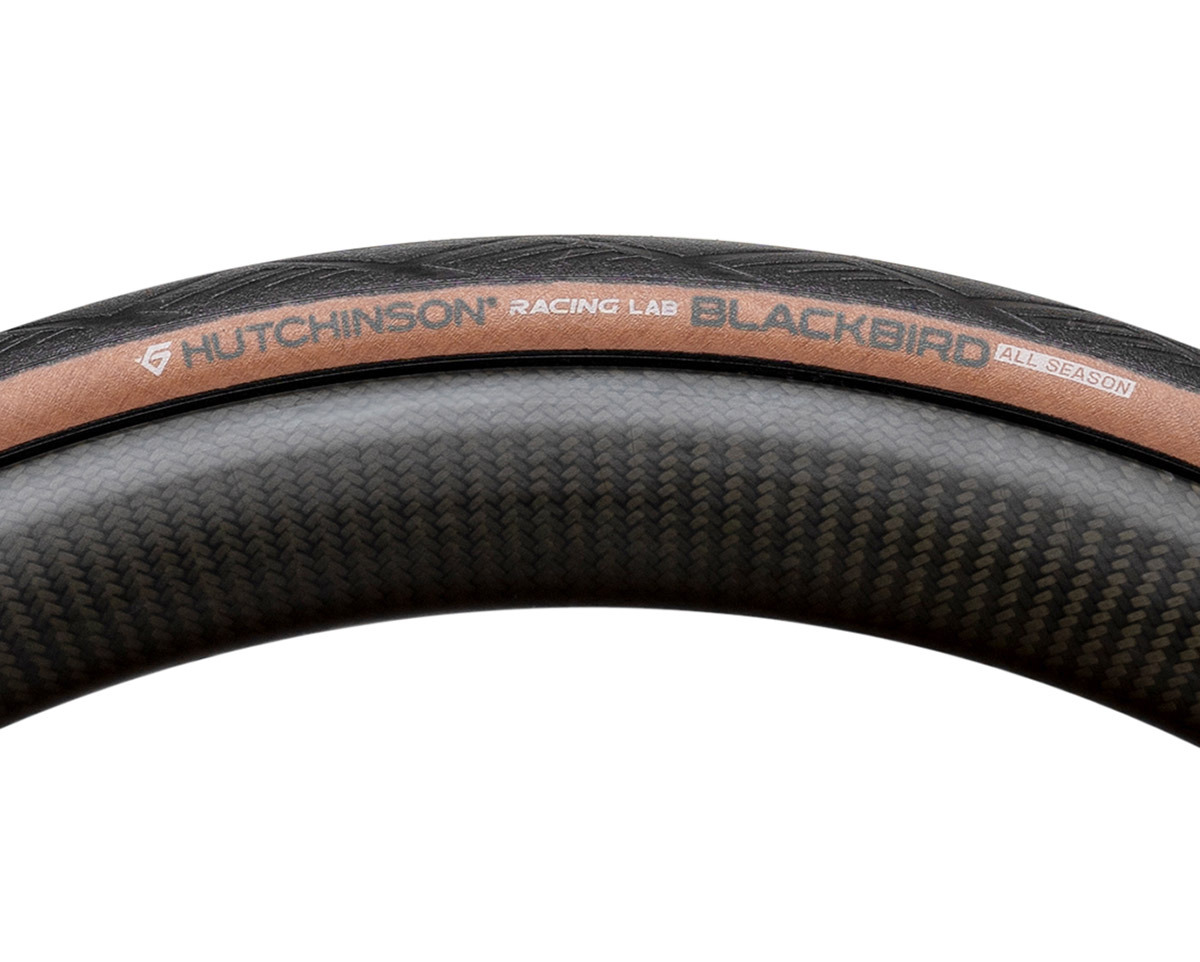 Pneu de route BLACKBIRD ALL SEASON 700x34c TUBELESS READY FOLDING Noir/Beige