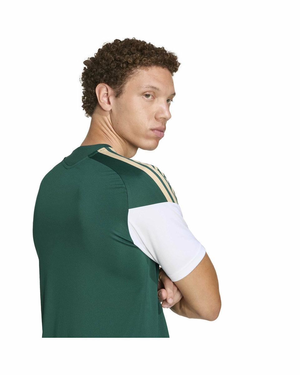 Maillot de football Homme FIGC TR JSY Vert