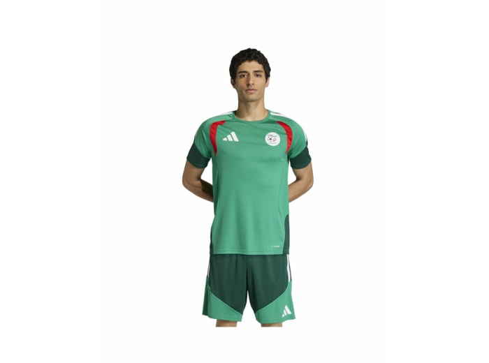 Maillot de football Homme Algérie Vert