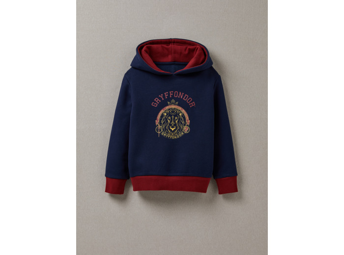 Sweat Capuche Hp