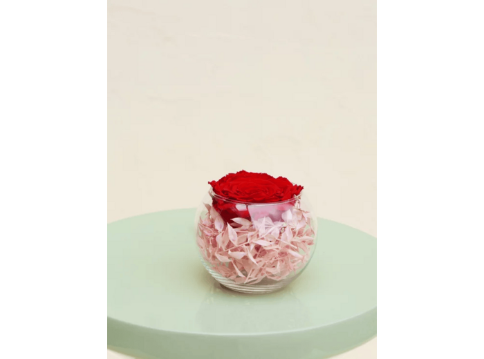 Rose éternelle blanche et son vase boule