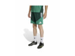 Short de football Homme FAF TR SHO Vert