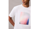 T-SHIRT GRADATION