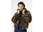 Women Coat