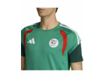 Maillot de football Homme Algérie Vert