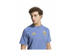 Maillot de football Homme AFA TT TEE Bleu
