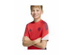 Maillot de football Enfant plus agé FCB TR JSY Y Rouge