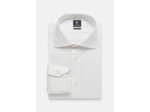 Pin Point Stretch Cotton Windsor Collar Regular Fi