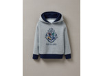 Sweat Capuche Hp