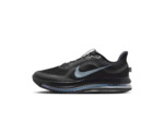 NIKE PEGASUS PREMIUM