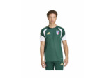 Maillot de football Homme FIGC TR JSY Vert