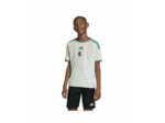 Maillot de football Enfant plus agé Algérie Blanc