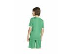T-shirt Enfant plus agé ENT26 JSY Y Vert