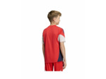 Maillot de football Enfant plus agé FCB TR JSY Y Rouge