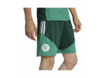Short de football Homme FAF TR SHO Vert