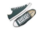 Chuck Taylor All Star Ox True Nature