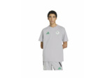 Maillot de football Homme FAF TT TEE Gris