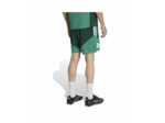 Short de football Homme FAF TR SHO Vert