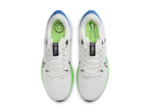 AIR ZOOM PEGASUS 40