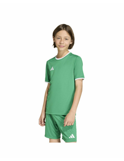 T-shirt Enfant plus agé ENT26 JSY Y Vert