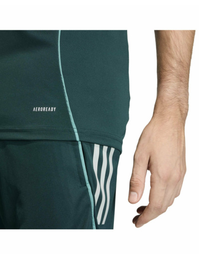 Maillot de football Homme AFC TR JSY Vert