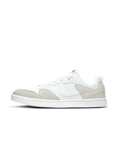 NIKE SB ALLEYOOP