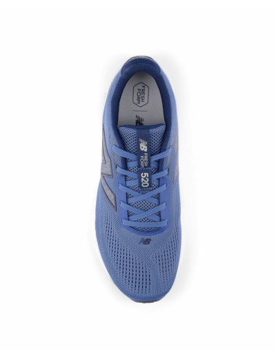 Chaussures de running Homme FRESH FOAM 520 V9 D Bleu