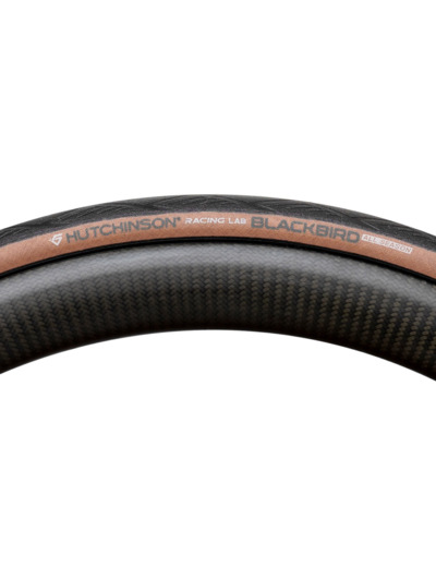 Pneu de route BLACKBIRD ALL SEASON 700x34c TUBELESS READY FOLDING Noir/Beige