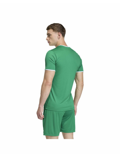 Maillot de football Homme ENT26 JSY Vert