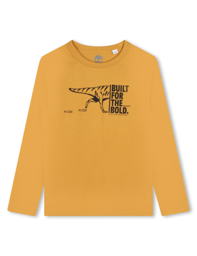 TEE-SHIRT MANCHES LONGUES