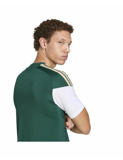 Maillot de football Homme FIGC TR JSY Vert