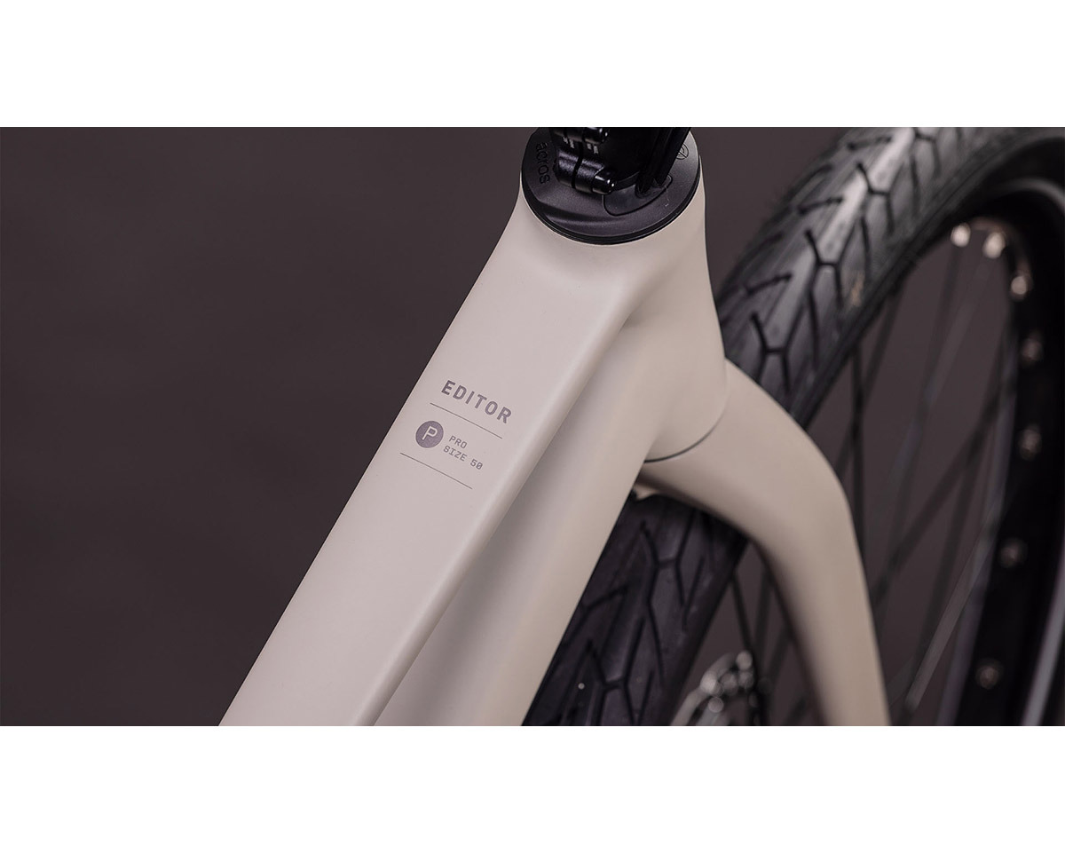 Vélo urbain EDITOR PRO Gris/Gris