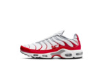 NIKE AIR MAX PLUS