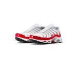 NIKE AIR MAX PLUS