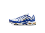 NIKE AIR MAX PLUS