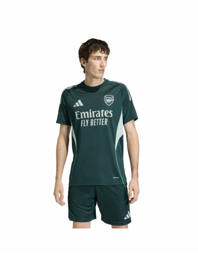 Maillot de football Homme AFC TR JSY Vert