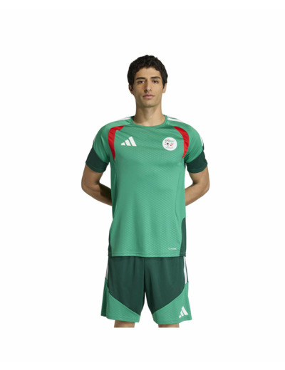 Maillot de football Homme Algérie Vert