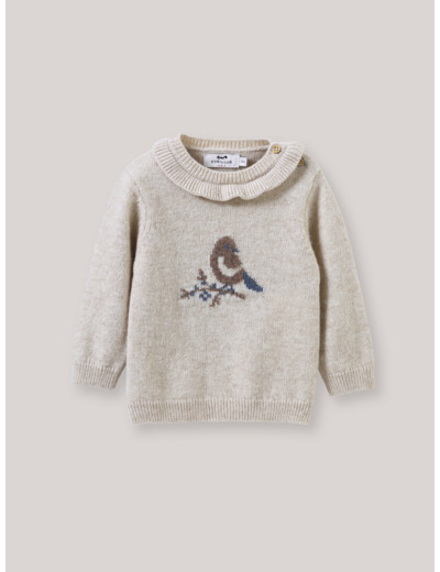 PULL OISEAU