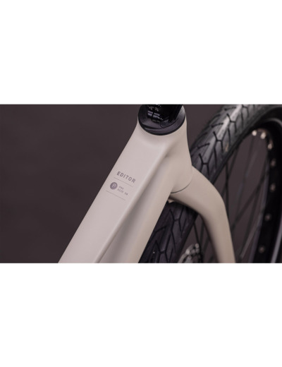 Vélo urbain EDITOR PRO Gris/Gris
