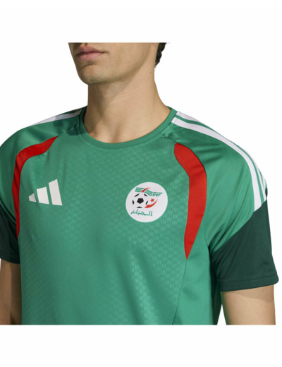 Maillot de football Homme Algérie Vert