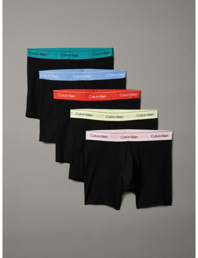 ICON PRIDE BOXER BRIEF - PACK DE 5