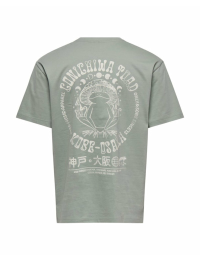 T-shirt Homme ONSFRED LIFE RLX SS PRINT TEE NOOS Vert