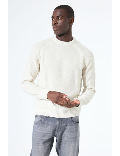 Men Sweater